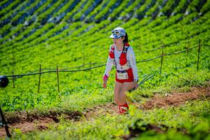 BIB: 2136
                            <button type="button" onclick="openModal(19162609)" class="btn btn-primary btn-sm float-right btn-popup" data-toggle="modal" data-target=".modal-high-quality">
                        <i class="fas fa-shopping-cart"></i> Add to Cart
                    </button>
                                            <button type="button" onclick="isThisMe(19162609, true)" class="btn btn-success btn-sm float-right btn-popup btn-isme hidden" data-toggle="tooltip" data-placement="bottom" title="นี่คือรูปของคุณใช่ไหม คลิกที่นี่เพื่อเอาเข้าอัลบั้ม">
                        <i class="fas fa-plus"></i> Add to album
                    </button>
                    <button type="button" onclick="isThisMe(19162609, false)" class="btn btn-warning btn-sm float-right btn-popup btn-isnotme hidden">
                        <i class="fas fa-ban"></i> Remove from album
                    </button>